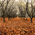 Harvest Landing Shoot-26-Edit-exprt_full_sRGB72.jpg